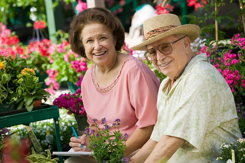 ​  Gardening as mental and physical therapy