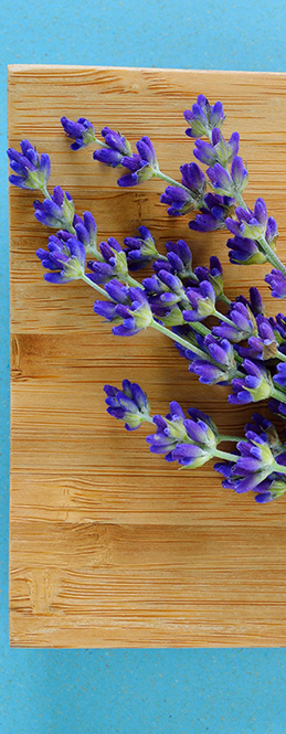 ​  Herbs for Summer health