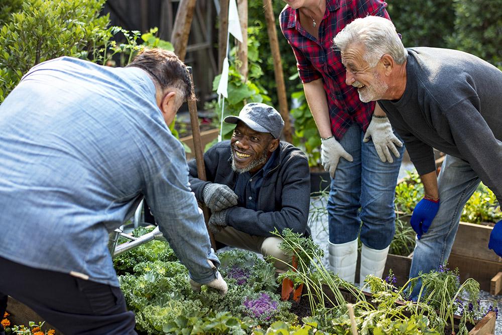 ​  National Gardening Exercise Day