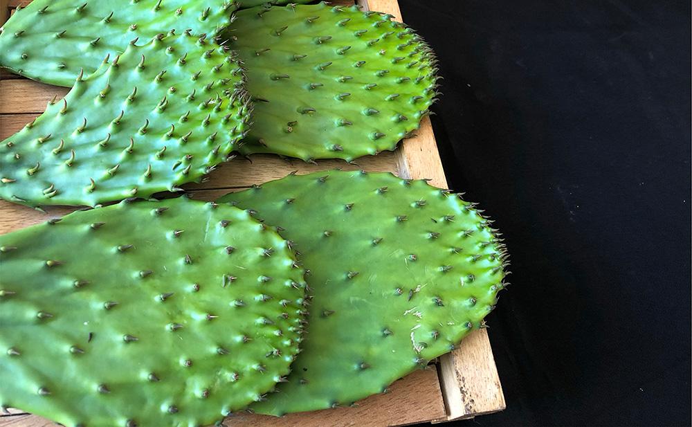 ​  Nopal can help reduce cholesterol