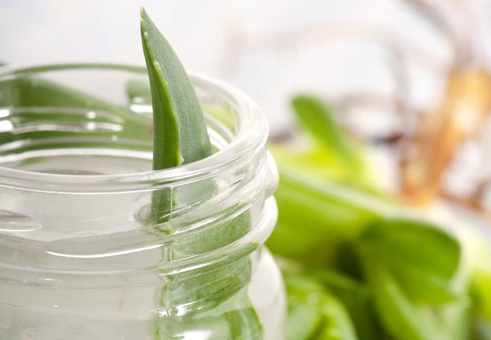 Aloe Juice for weight loss
