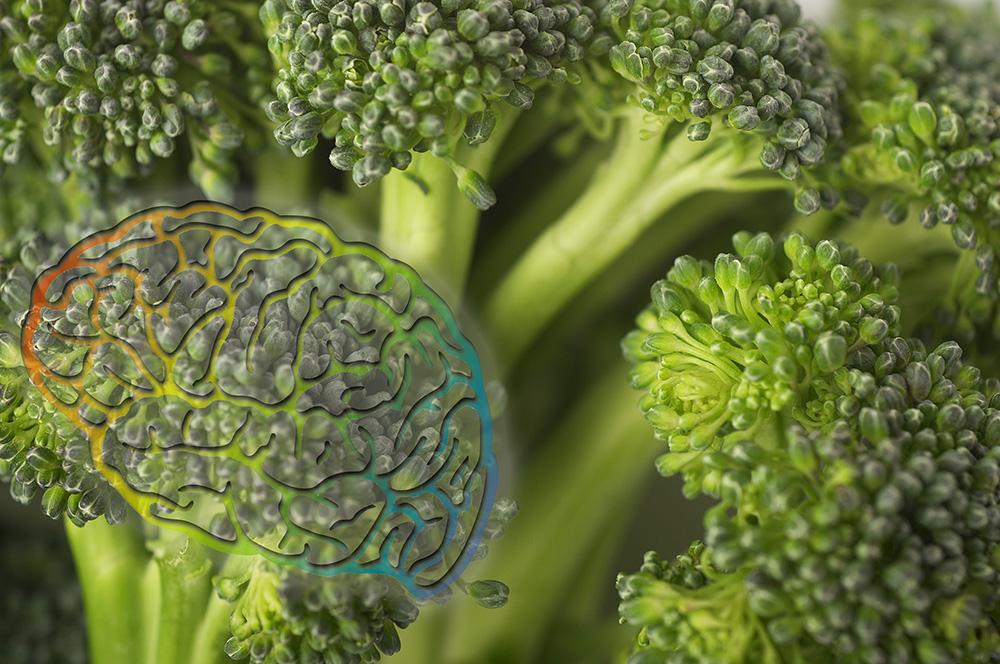 Broccoli for the Brain