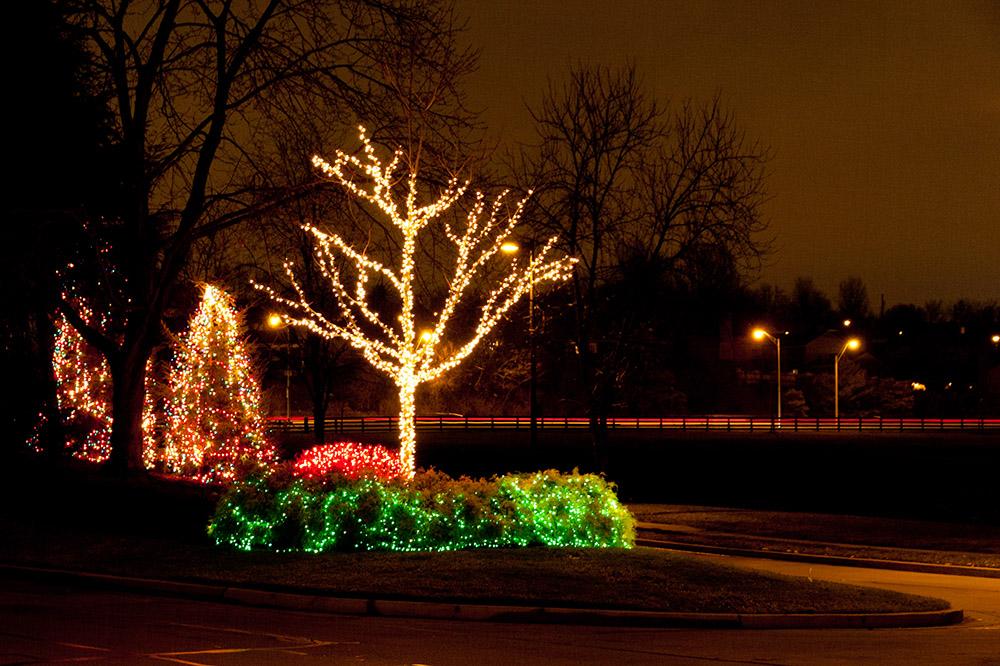 Enjoy Christmas lights by walking in your neighborhood
