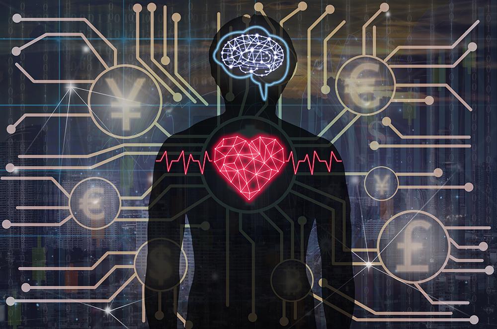 Heart may alter decision-making brain circuits