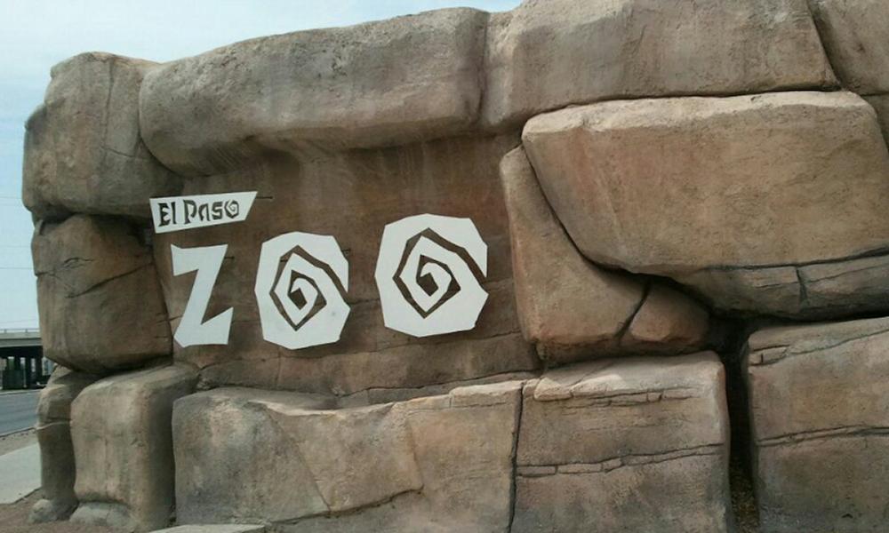 Domingo de baja sensibilidad sensorial en el Zoológico de El Paso