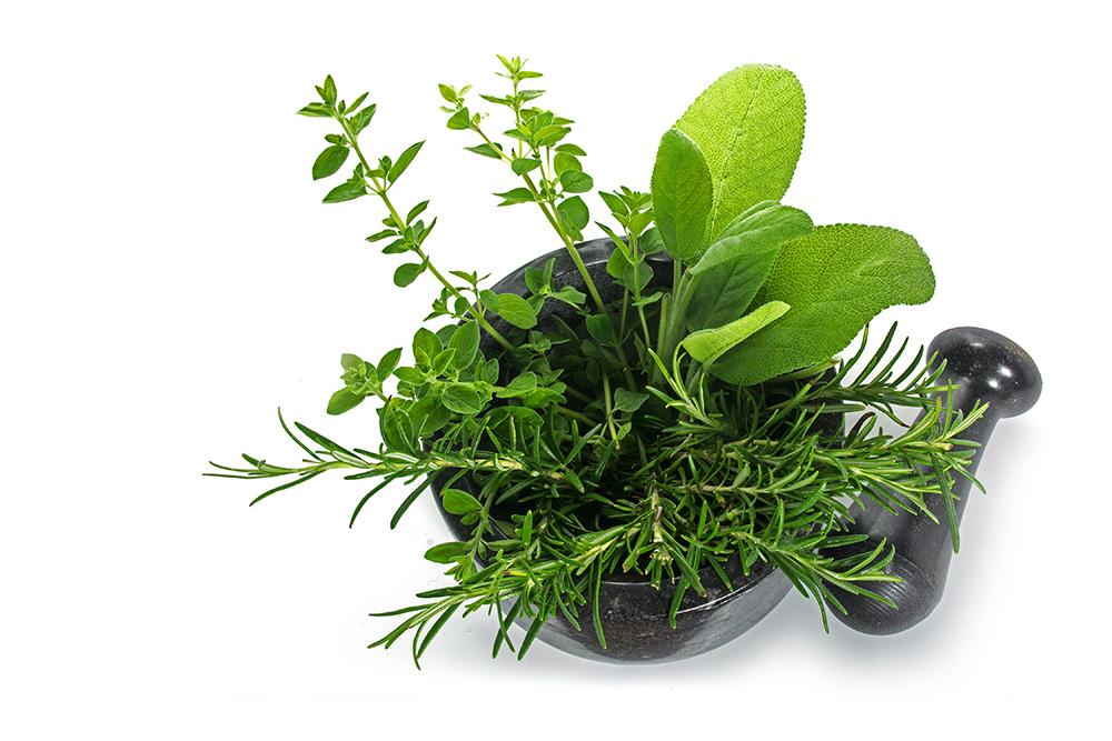Mediterranean herbs offer health benefits.