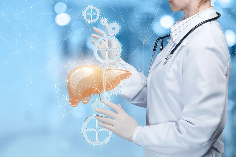 Fatty liver breakthrough: A safe, cheap vitamin shows promise