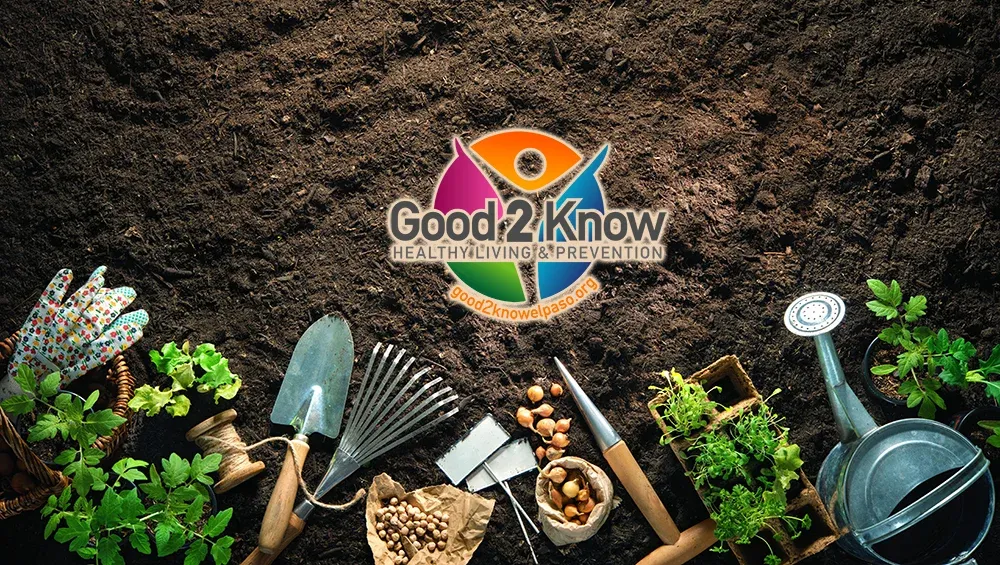 Get your garden going