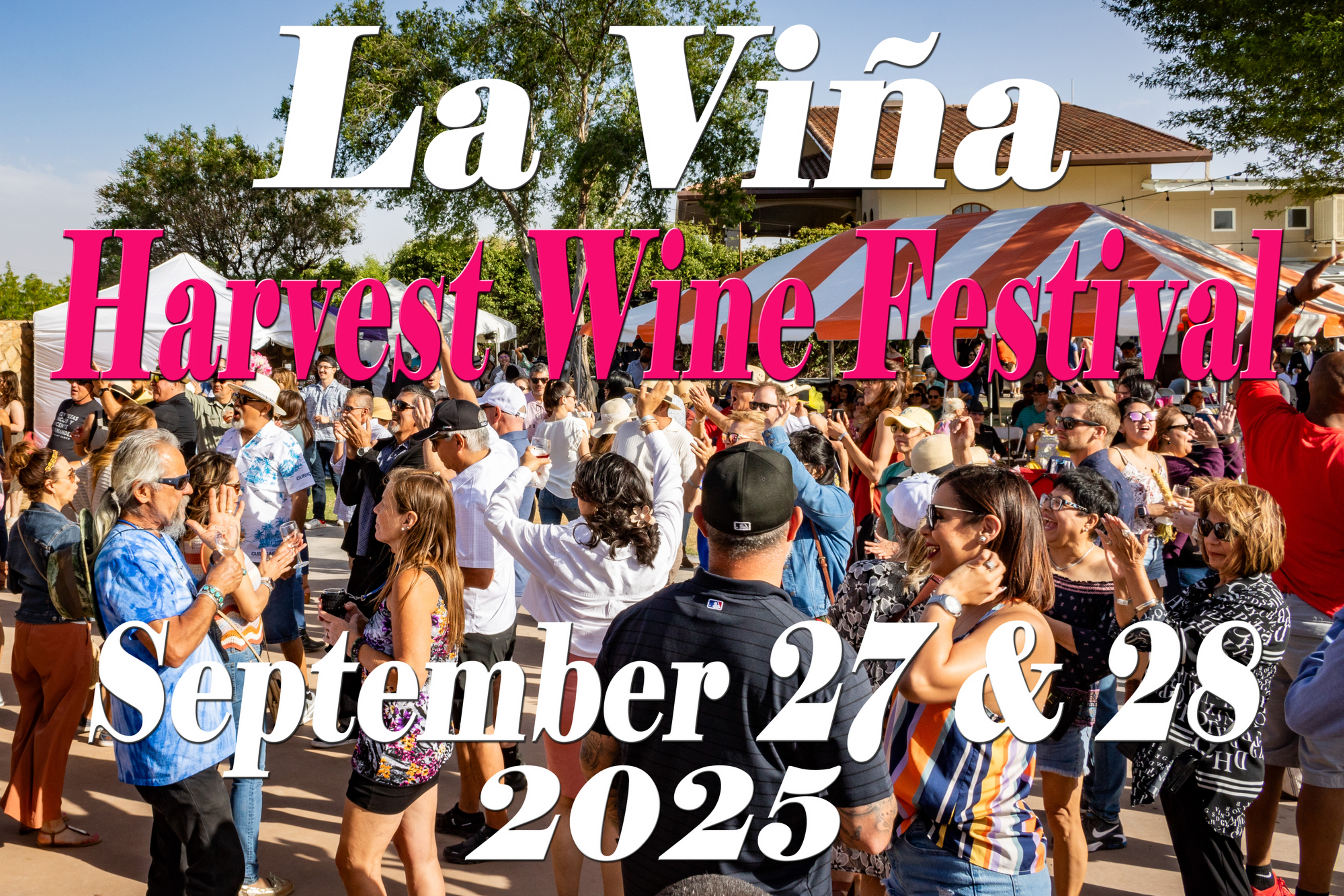 Fiesta de la Vendimia de La Viña