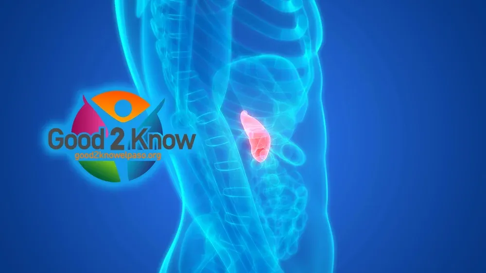 One fat helped pancreatic cancer grow while another cut disease in half