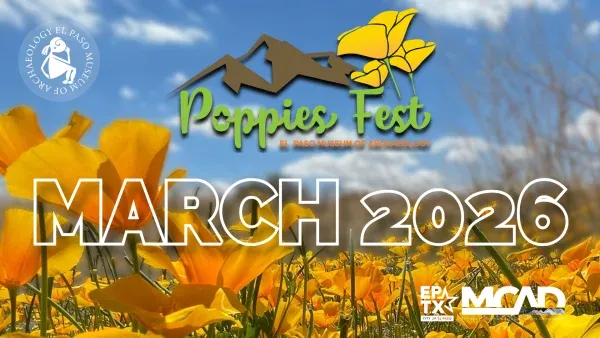 Festival de las amapolas