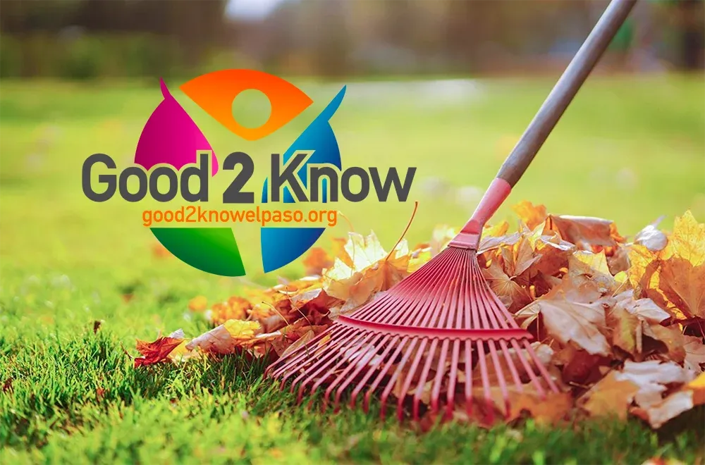 Raking leaves racks up calories burned