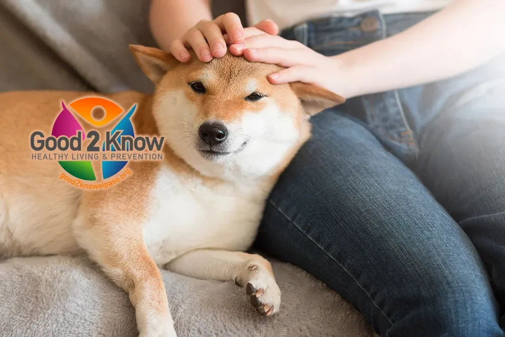 Therapy animals help lower blood pressure