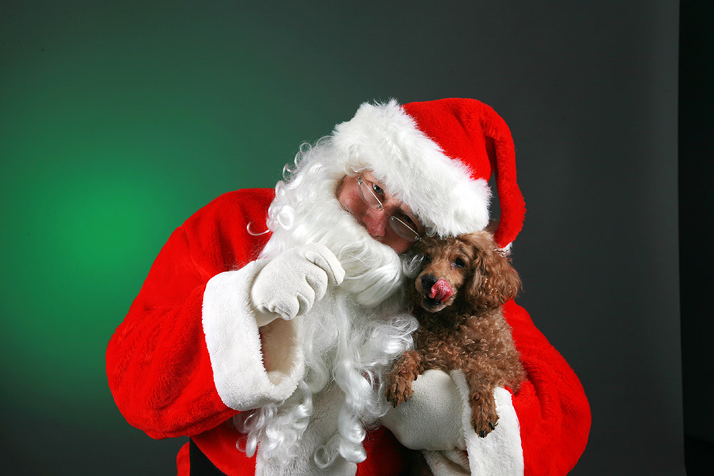 Fotos de mascotas con Santa