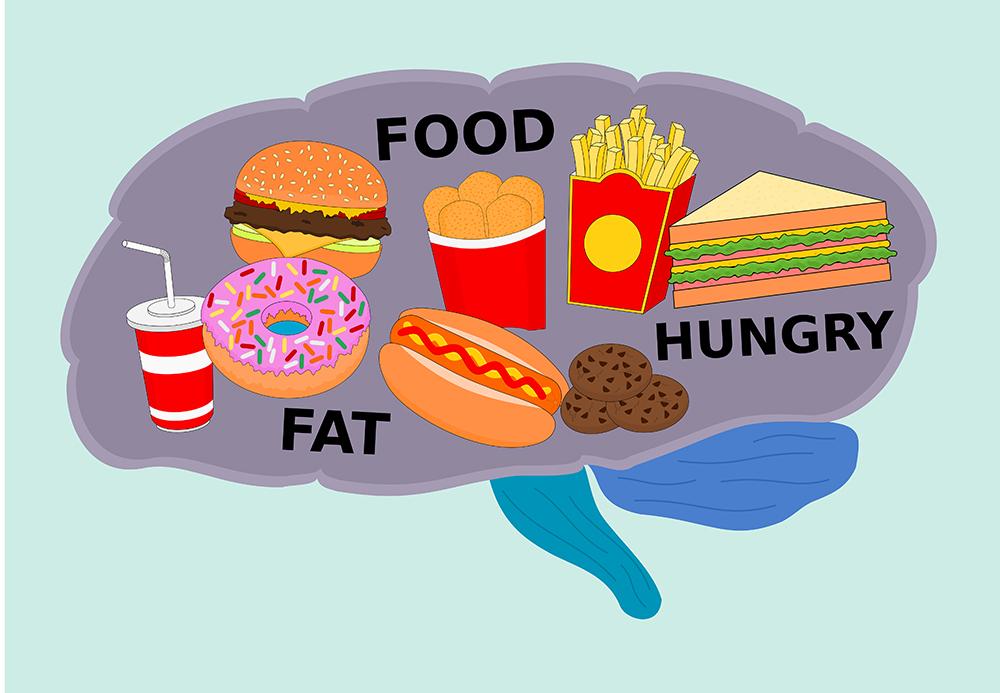 Researchers identify the link between memory and appetite to explain obesity