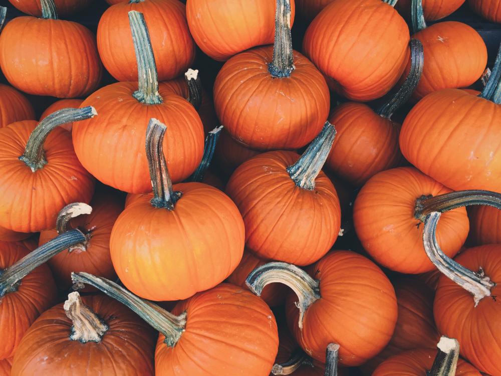 Surprising Health Benefits of Pumpkin