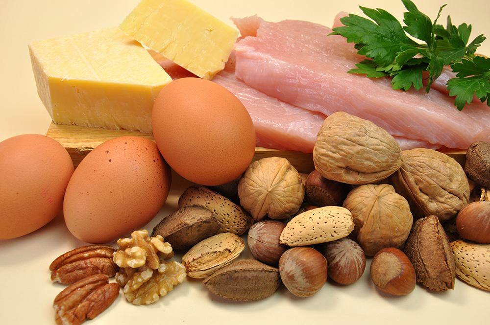 The many pros of protein